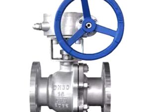 Ball Valve Giar flagge type