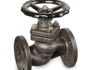 Bellow Sealed Valve flange type