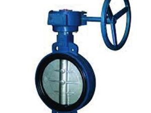 Butterfly Valve Giar Type