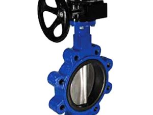 Butterfly Valve Giar type (Heavy)