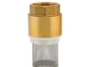 Foot Check Valve Screwed Type