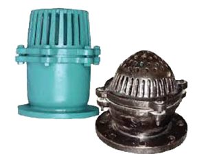 Foot Check Valve flange type