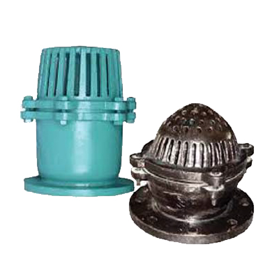 Foot Check Valve flange type