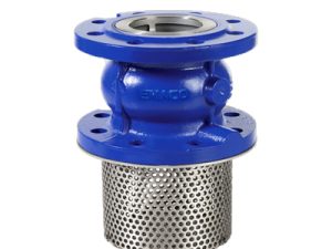 Foot Valve Flange Type Size-2''-24''