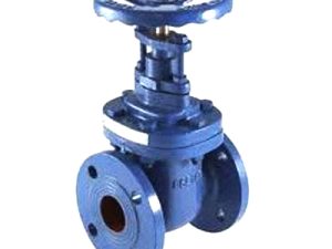 Gate Valve Various Size