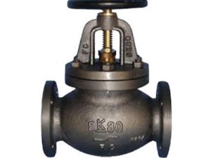 Glove valve flange type
