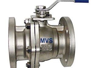 S.S Gass valve Flange Type