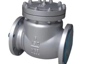 S.S Non Return Valve Flange type