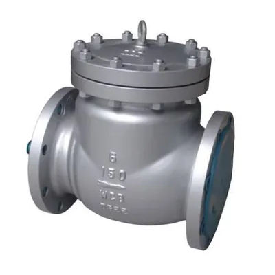 S.S Non Return Valve Flange type