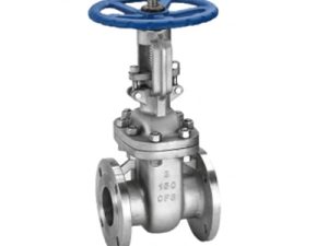 S.S gate Valve Various Size